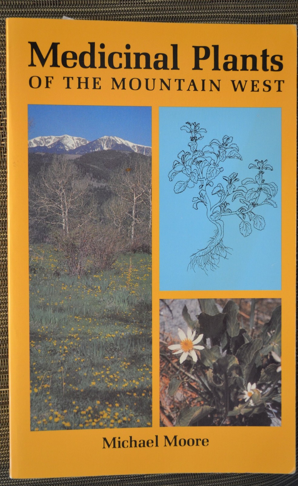 Medicinal Plants of the Mountain West