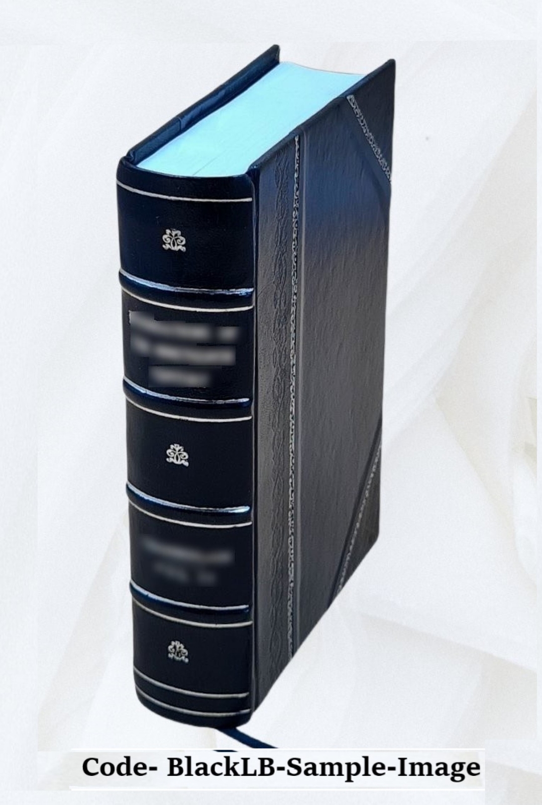 Notices, Historical, Statistical And Biographical Relating To Th [Leather Bound]