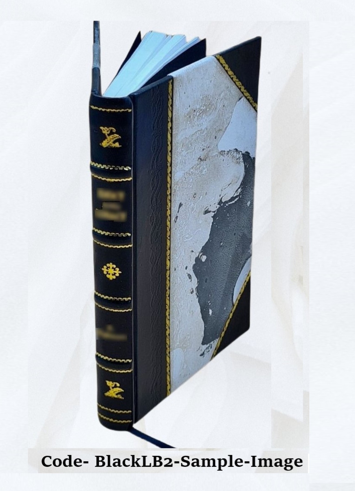 Notices, Historical, Statistical And Biographical Relating To Th [Leather Bound]