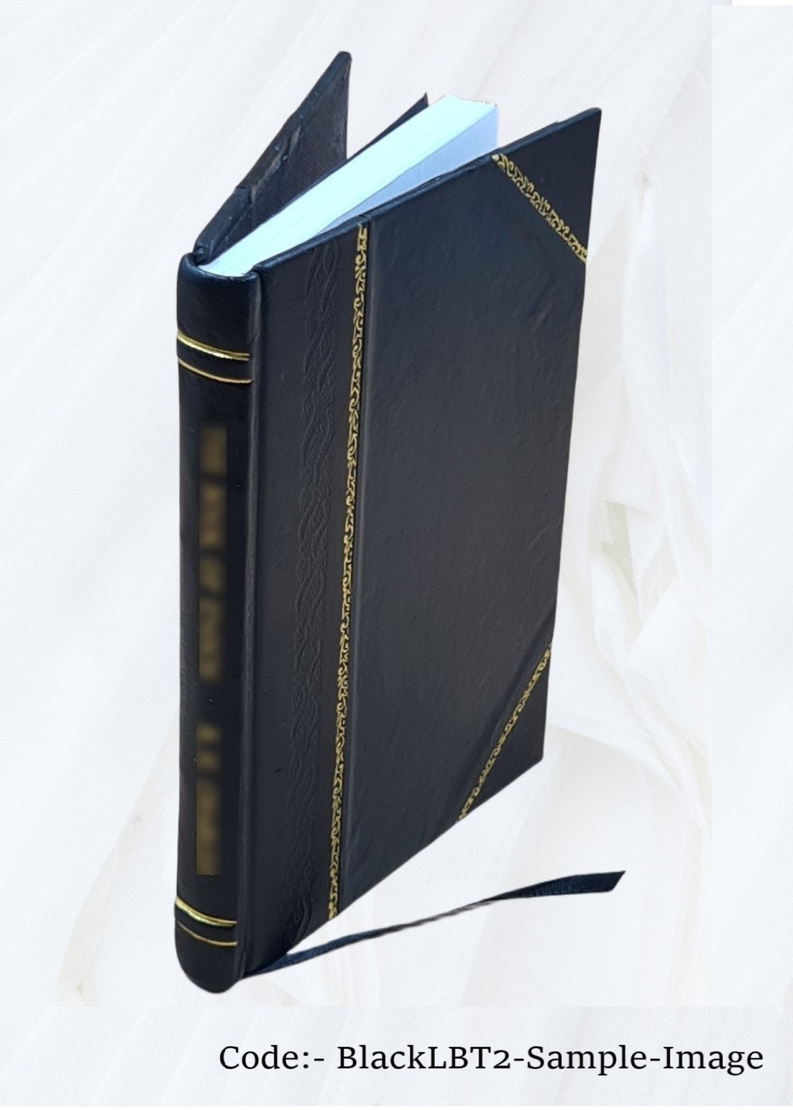 On Consumption, & Tuberculosis Of The Lungs.. 1873 By E. H. Ruddock Leatherbound