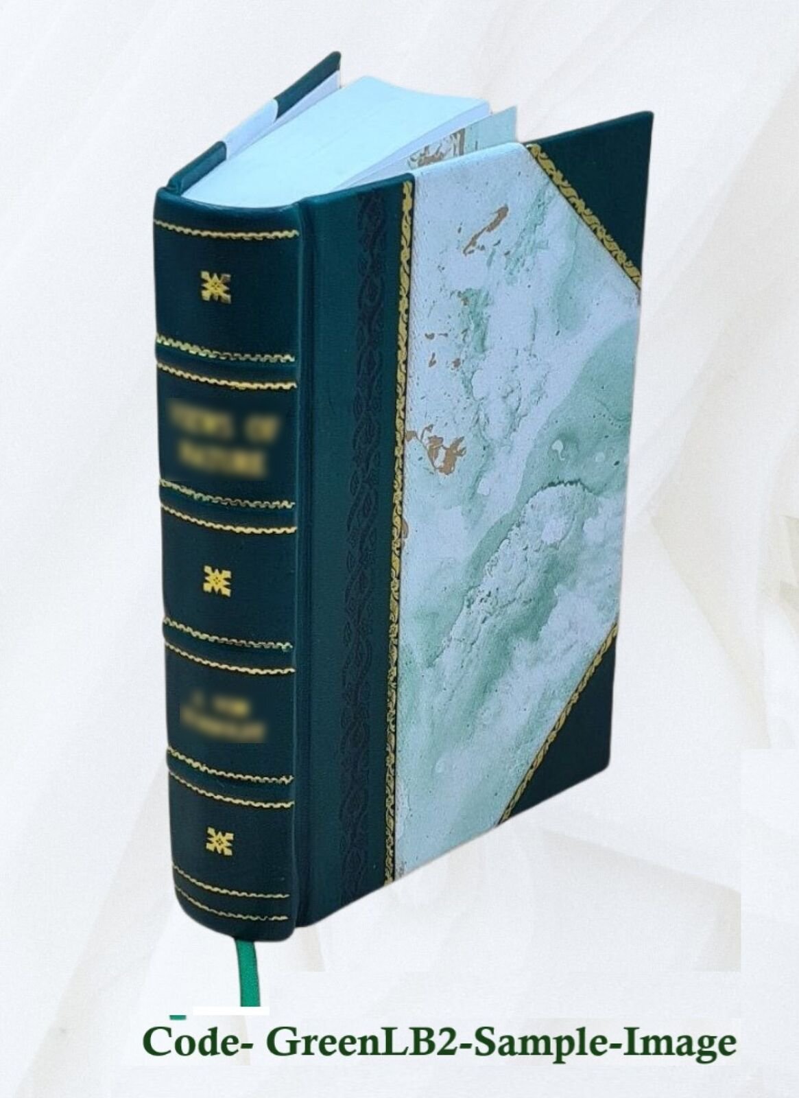 Notices, Historical, Statistical And Biographical Relating To Th [Leather Bound]