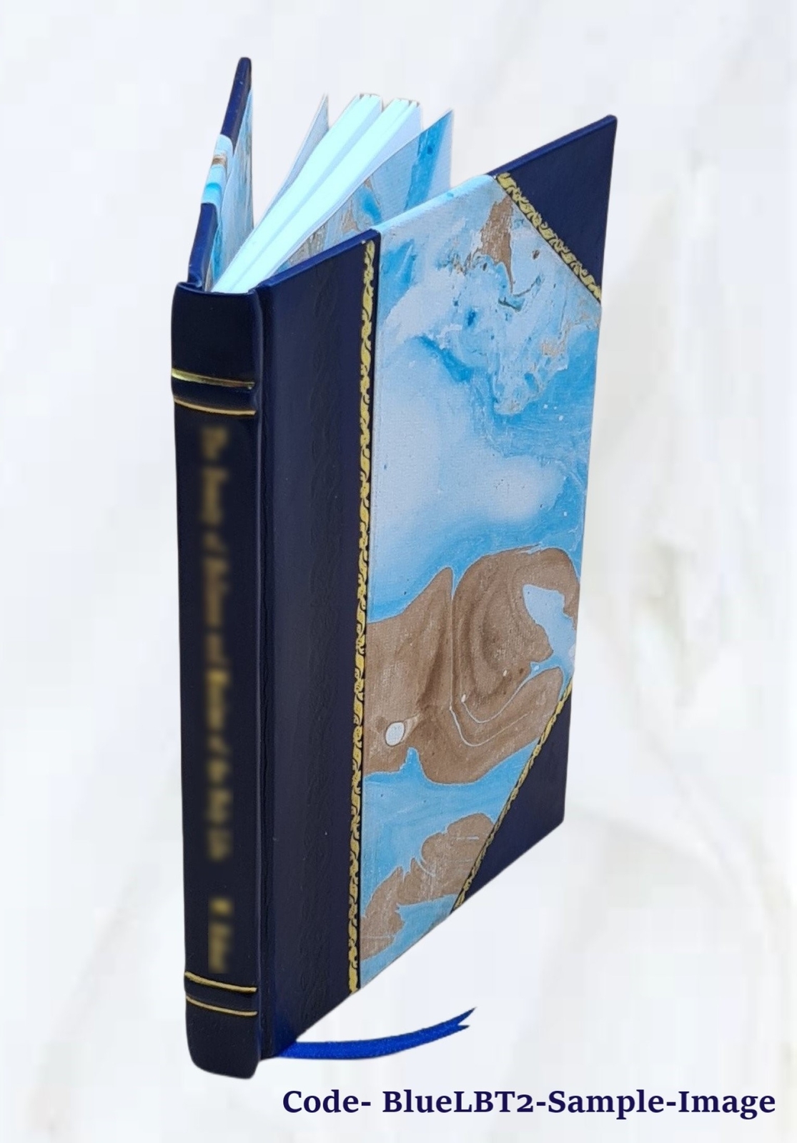 On Consumption, & Tuberculosis Of The Lungs.. 1873 By E. H. Ruddock Leatherbound
