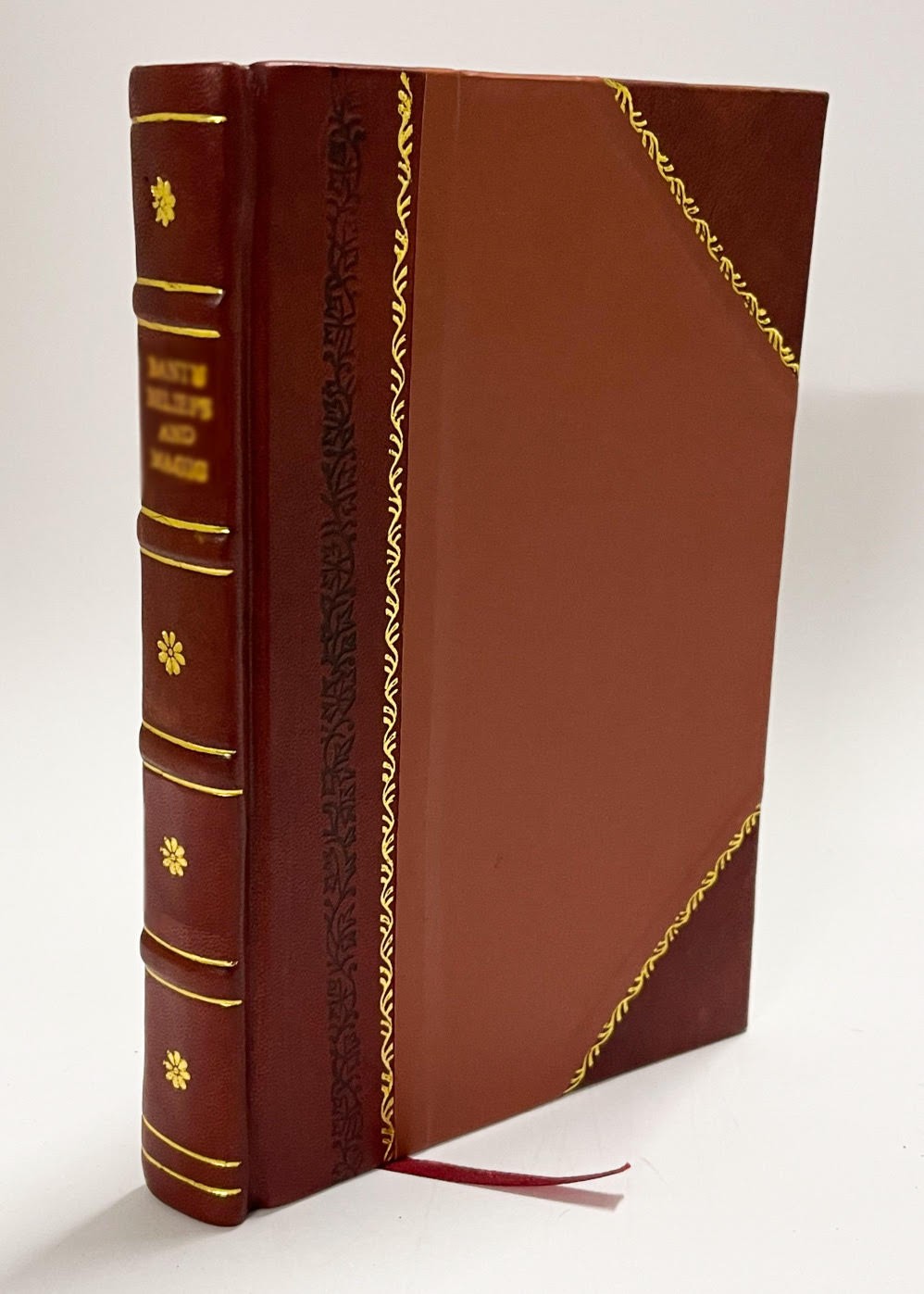 The Irish National Invincibles and Their Times / by Patrick J. [Leather Bound]
