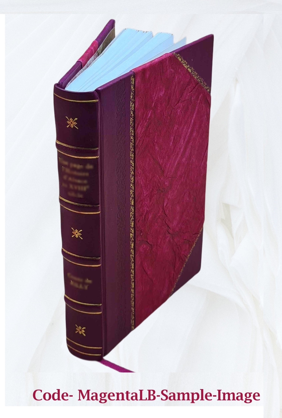 Notices, Historical, Statistical And Biographical Relating To Th [Leather Bound]