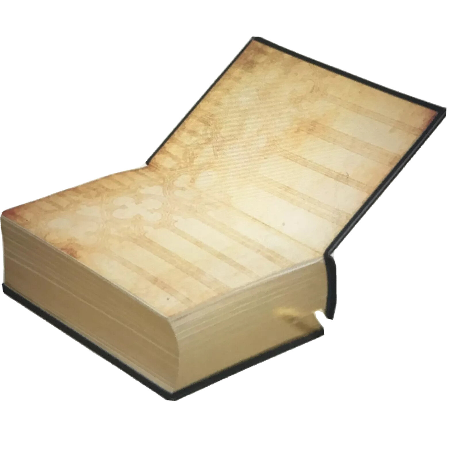 ❤️THE HOLY BIBLE King James Version Gustave Dore illustrated Leather Bound NEW